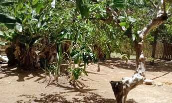 Imagem 2: Chácara dentro da cidade com casa