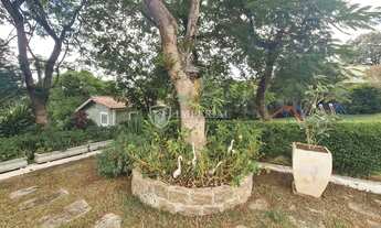 Imagem 7: Propriedade Rural para Venda