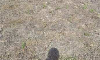 Imagem 2: Vende-se um terreno no tepequem