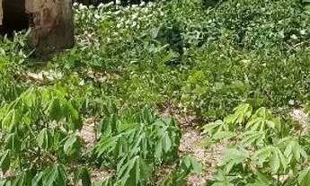 Imagem 2: Vende-se terreno