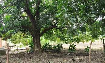 Imagem: Vende-se Terreno - Cinturão Verde