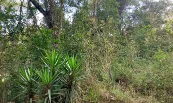 Imagem 4: Lote em Caminho Rodrigues - Pedra Vermelha (Terra Preta) - Mairiporã/SP