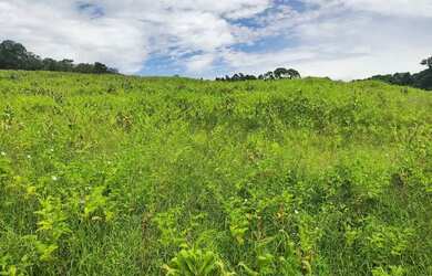 Imagem 6: Terreno em Ibiúna à venda em bairro promissor