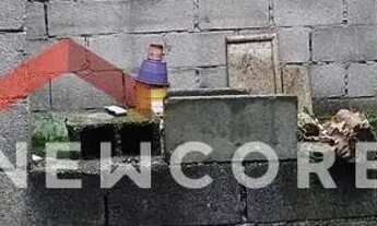 Imagem 4: Lote em Rua Maçaranduba - Alves Dias - São Bernardo do Campo/SP