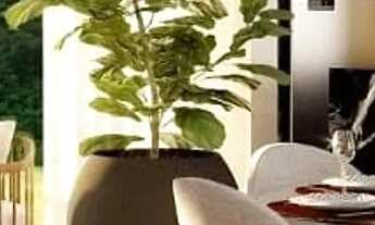 Imagem 3: Nature Residence - Lançamento de Coberturas Duplex em Petrópolis no Bairro Retiro