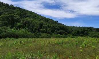 Imagem 2: Espaço, sossego e liberdade em Ibiúna - SP