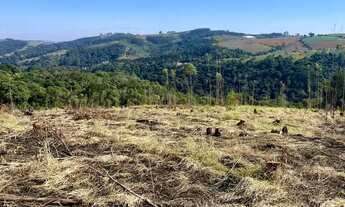 Imagem 3: Oportunidade de Investimento em Condomínio no Bairro Colégio 500m²