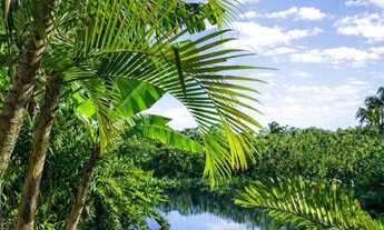 Imagem 2: Casa com Fundo para a Água | 600m² | Acesso à Lagoa e Mar