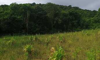 Imagem 2: Viva Bem: Terreno em Ibiúna Cercado pela Natureza - SP