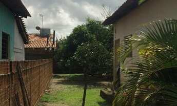 Imagem 4: Sapé - Otima oportunidade $250,00 Aluguel