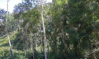 Imagem 4: Pequeno sítio em Olaria MG