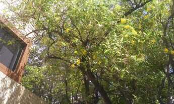 Imagem 3: Excelente Loja Galpão / depósito com 3 vagas na garagem