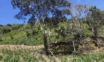 Imagem 3: Pequeno sítio em Olaria MG