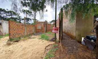 Imagem 5: Torro Terreno cataratas