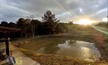 Imagem: Chácara para Venda em Balsa Nova, Bugre