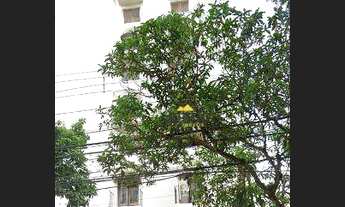 Imagem 2: Apartamento Duplex com 2 dormitórios à venda, 83 m² por R$ 900.000,00 - Moema - São Paulo