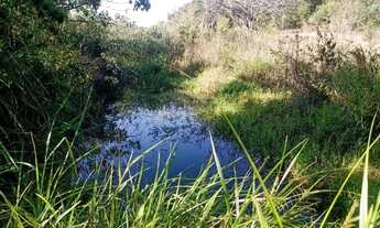 Imagem 5: Terreno 29ha, terra boa e quase todo formado em branquearão, Baldim