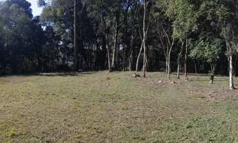 Imagem 6: TERRENO com 1 dormitório à venda com 9075m² por R$ 280.000,00 no bairro Bugre - BALSA NOVA