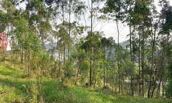 Imagem 5: Terreno à venda, 5141 m² por R$ 1.280.000,00 - Chácara Recreio Lagoa dos Patos - Jundiaí/S