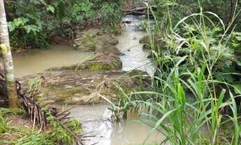 Imagem 6: SÍTIO NA GUIA C/ PISCINA/ PEGO VEÍCULOS