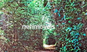 Imagem 14: Venda Fazenda Fazenda Exemplo Cachoeira