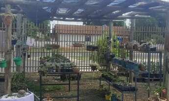 Imagem 7: Orquidário ecomerce empresa em funcionamento