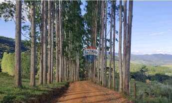 Imagem 7: Fazenda com 4 dormitórios à venda, 10340000 m² por R$ 10.000.000,00 - Serra do Cipó - Sant