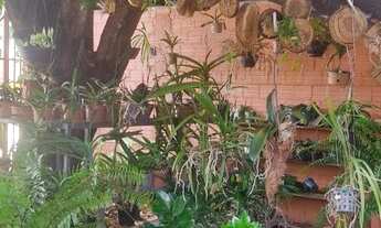 Imagem 6: Orquidário ecomerce empresa em funcionamento