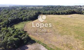 Imagem 7: Terreno a venda em Colombo, 20.000 m²