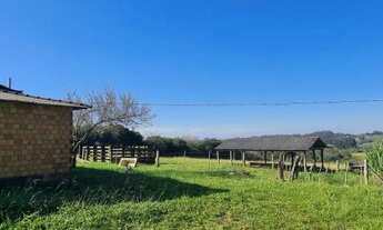 Imagem 5: Sítio 3 hectares em Viamão, 500 metros RS040, para investidor!