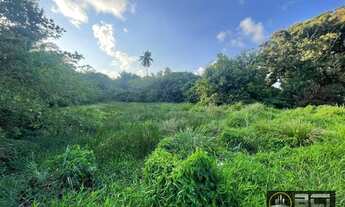 Imagem 5: Área, 3270 m² - venda por R$ 630.000,00 ou aluguel por R$ 630.000,00 - Barra de Jangada