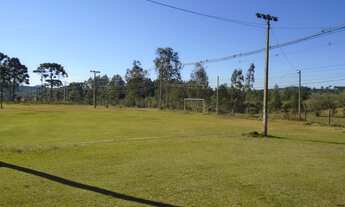 Imagem 4: ÁREA com 1 dormitório à venda com 16746.5m² por R$ 2.511.975,00 no bairro ARAÇATUBA - CAMP