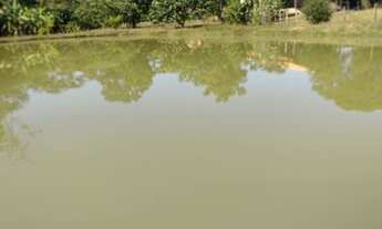 Imagem: Guapó - Chácara com muita água