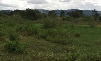 Imagem 7: Fazenda/Sítio/Chácara para venda possui 25000 metros quadrados em Setor Central - Guapó