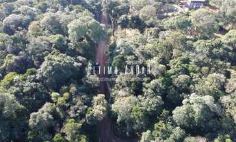 Imagem 7: Fazenda/Sítio/Chácara para venda possui 5023 metros quadrados em Borda do Campo - Quatro B