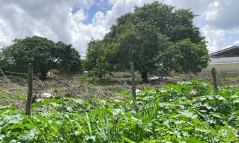 Imagem 6: Terreno com 3.250 m2 na BR 304