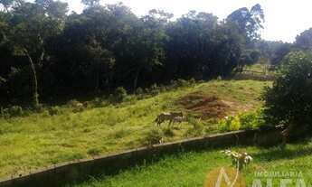 Imagem 6: Chácara 15 Mil Metros - Centrevile - Cotia SP