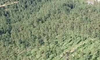 Imagem 4: Fazenda à venda, 10.3000 m² por R$ 650.000.000 - Zona Rural - Piratini/RS