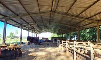 Imagem 5: Fazenda 1400 ha 96 km Campo Grande MS, beira da BR
