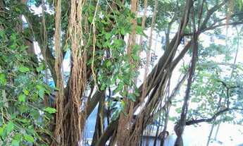 Imagem 4: Apartamento para venda tem 120 metros quadrados com 3 quartos em Leblon - Rio de Janeiro