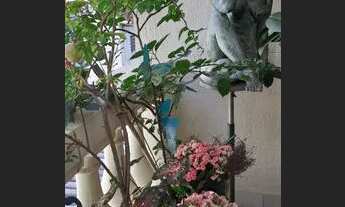 Imagem 4: Apartamento 3 quartos 1 vaga Vila Clementino