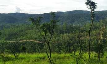 Imagem 4: Lote/Terreno para venda tem 1000 metros quadrados em Santa Inês - Mairiporã - SP