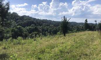Imagem 6: Terreno para Venda em Campo Alegre, Laranjeiras