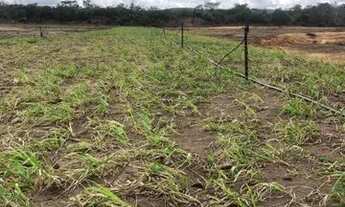 Imagem 7: Campanha de Vendas de Lotes Na Chapada Diamantina - BA!