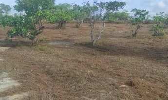 Imagem: Lotes em Sucatinga - Beberibe