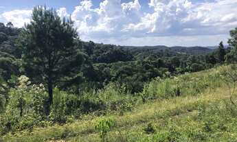 Imagem 5: Terreno para Venda em Campo Alegre, Laranjeiras