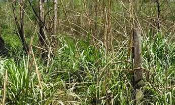 Imagem 6: Terreno 25.000m2 em Guaxinduva, Atibaia - SP