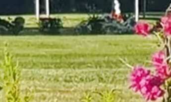 Imagem 4: Venda Jazigo completo - Cemiterio do Morumby. SP