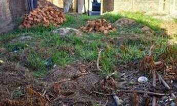 Imagem 3: Terreno para venda possui 250 metros quadrados em Benedito Bentes - Maceió - AL