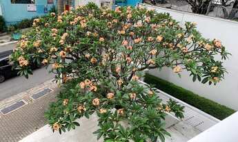 Imagem: KITNET Próximo a Faculdade Getúlio Vargas